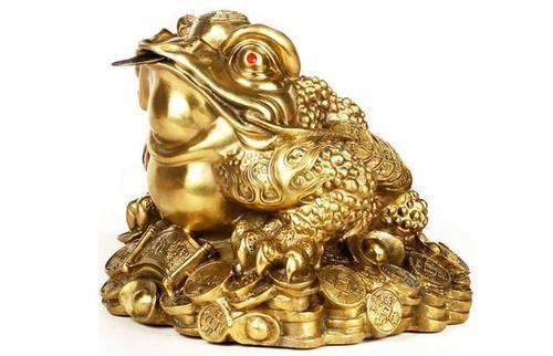 梦见金蟾