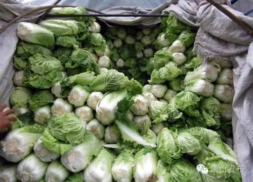 梦见买白菜