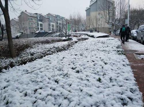 梦见下雪结冰 梦见下雪结冰