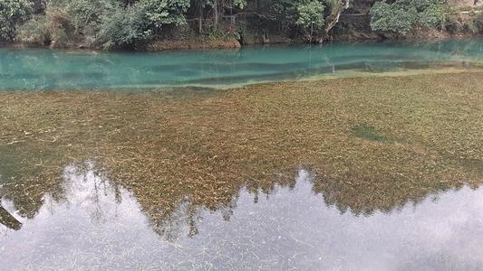梦见清澈见底的河水