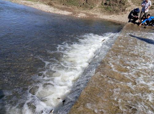 梦见水逆流而上
