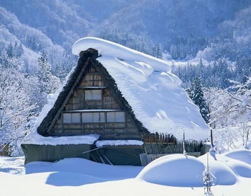 梦见屋里有雪