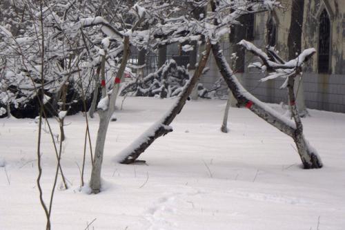 梦见下小雪