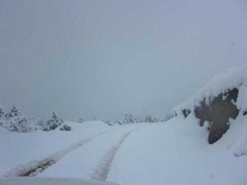 梦见有雪