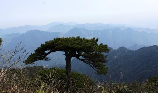 梦见很高的山