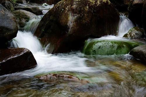 梦见水在流