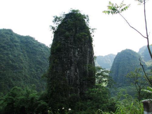 梦见山上