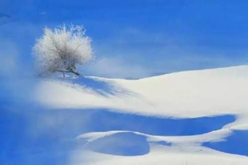 梦见雪花飘飘