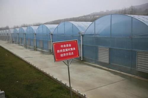 梦见温室