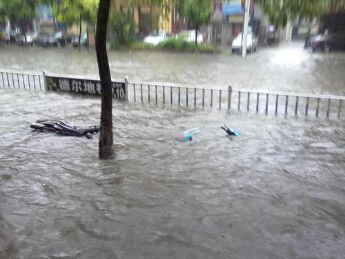 梦见大水淹路