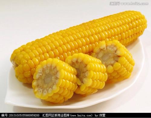 梦见熟玉米