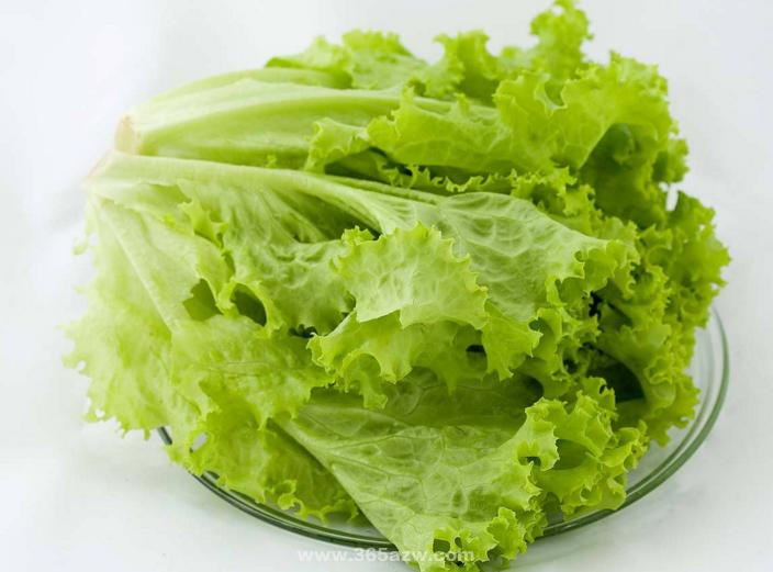 梦见生菜 梦见生菜