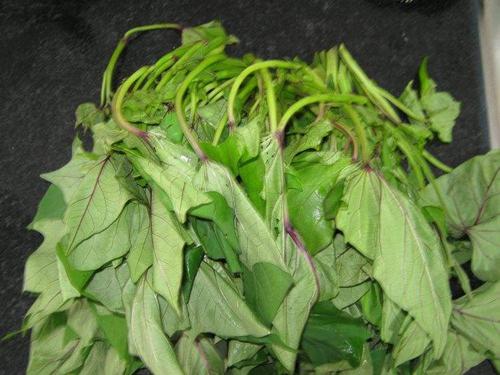 梦见摘红薯叶 梦见摘红薯叶
