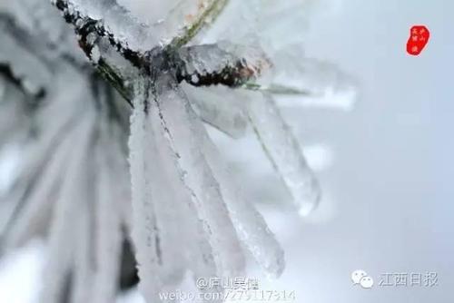 孕妇梦见下雪白茫茫一片