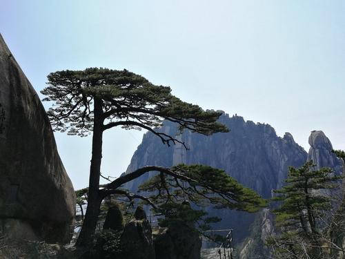 梦见爬登石阶 梦见爬登石阶