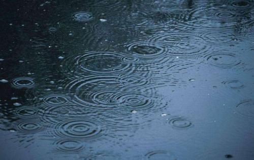 梦见梅雨