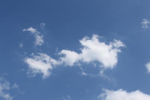 梦见晴空万里