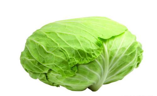 梦见卷心菜