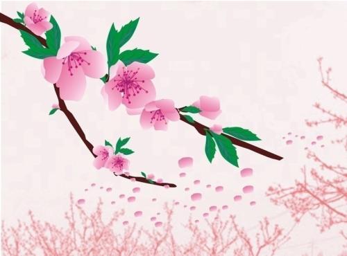 孕妇梦见桃花