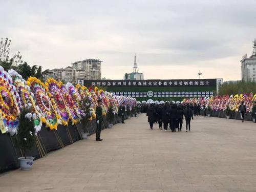 梦见牺牲