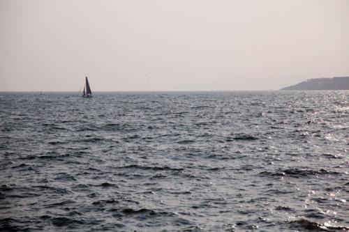 梦见汪洋大海