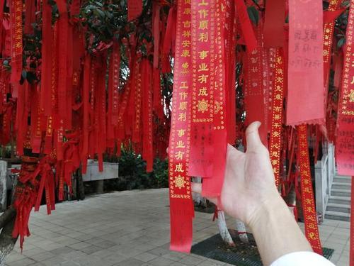 梦见许愿