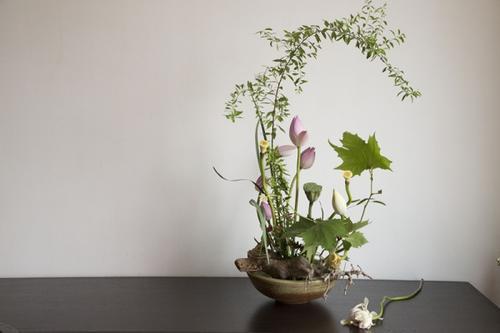 梦见插花