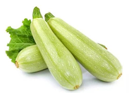 梦见西葫芦