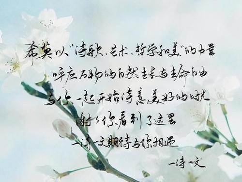 梦见诗