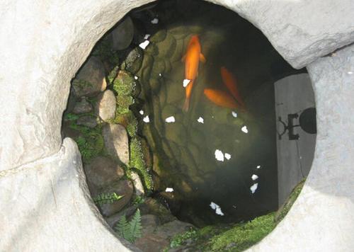 梦见井水有鱼