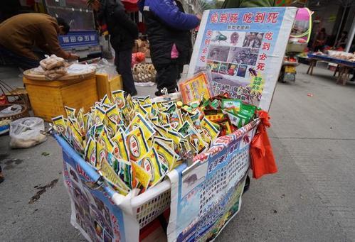 梦见老鼠药