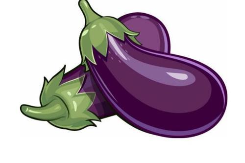 梦见自己种茄子