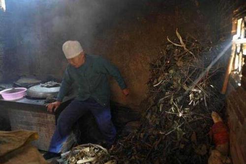 梦见死去的母亲回家做饭
