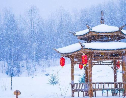 梦见下雪死人