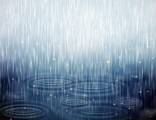 梦见下雨了自己没淋湿