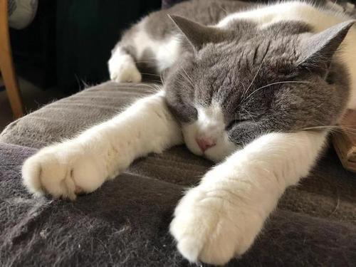 梦见撒娇 梦见撒娇