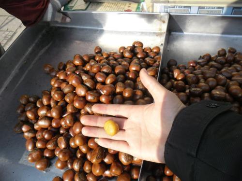 梦见吃糖炒栗子
