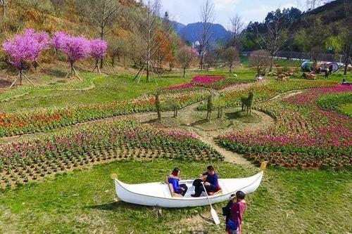 梦见和喜欢的人赏花