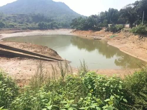 梦见修水库的坝