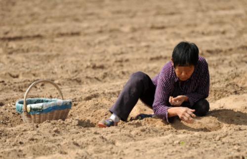 梦见在地上捡豆子 梦见在地上捡豆子