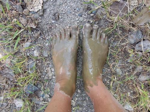 梦见踩到一脚泥