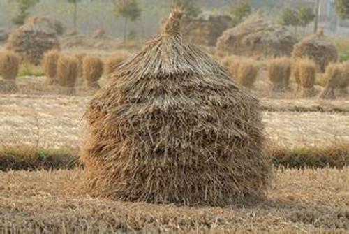 梦见稻草堆 梦见稻草堆