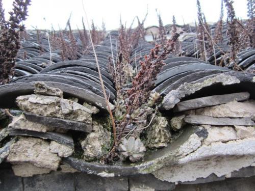 梦见扣瓦 梦见扣瓦