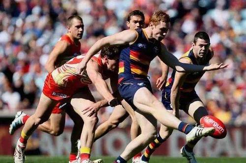 梦见捡排球 梦见捡排球