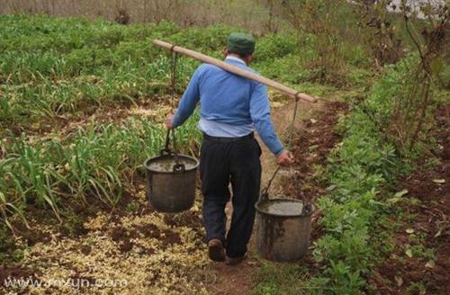 梦见挑粪回家 梦见挑粪回家