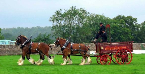 梦见坐马车 梦见坐马车