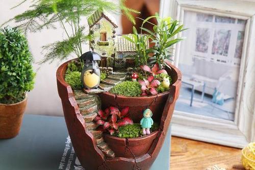 梦见被人扔花盆 梦见被人扔花盆