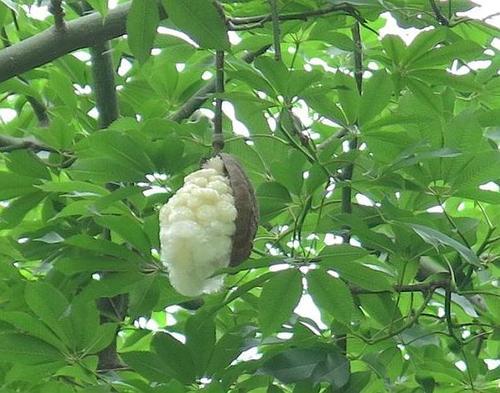 梦见酒瓶裂开了