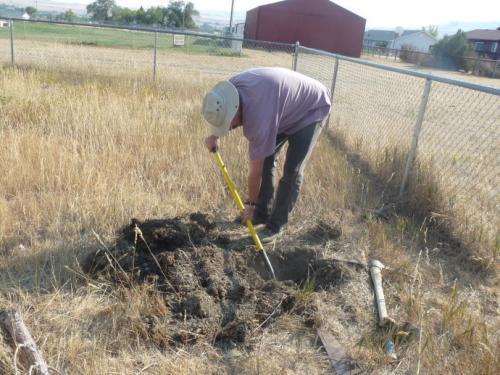 梦见挖坑种花 梦见挖坑种花