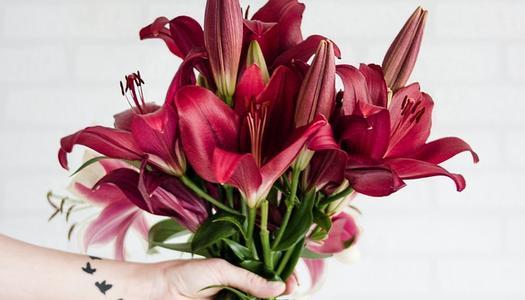 梦见假花枯萎 梦见假花枯萎